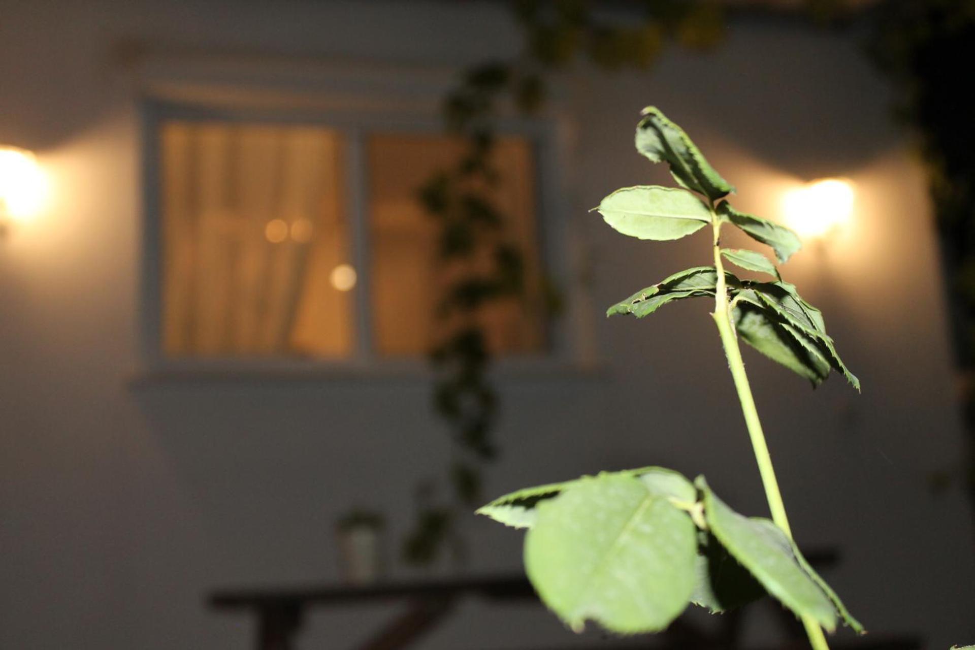 Holiday home ηώς *